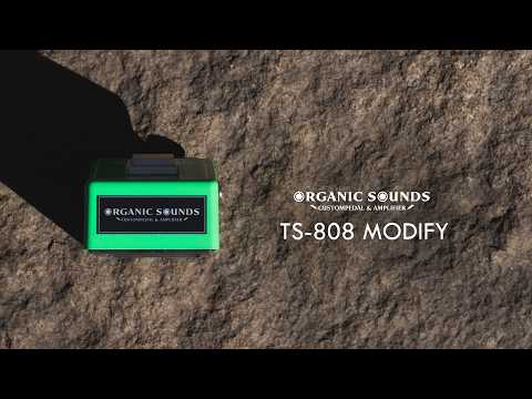 TS808 Mod. – Vintage Oriented Tuning - YouTube