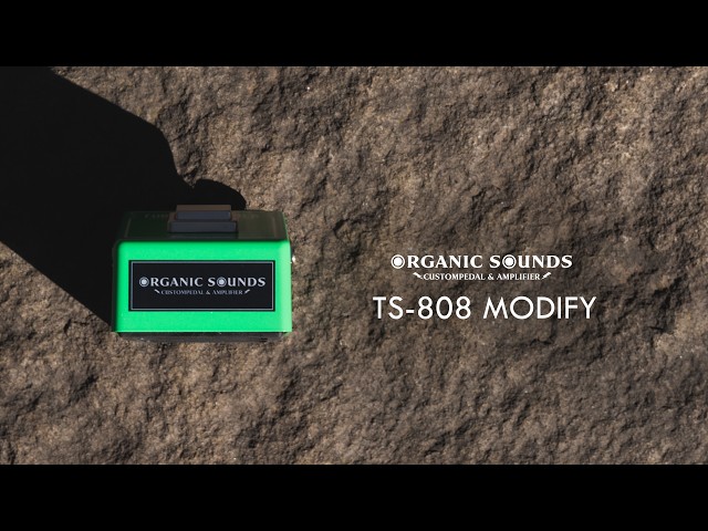 TS808 Mod. – Vintage Oriented Tuning - YouTube
