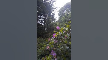 كلمات الفرج💚 #اكسبلور #تلاوة_خاشعة #nature #قران_كريم #المصحف #تصويري #travel