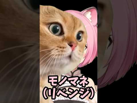 【猫ミーム】説教猫のモノマネ