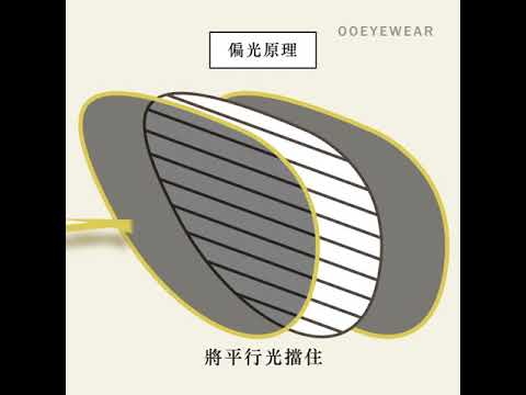 OOeyewear - 偏光墨鏡動畫
