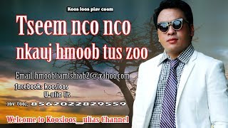 Tseem Nco Nco Nkauj Hmoob Tus Zoo 6252017