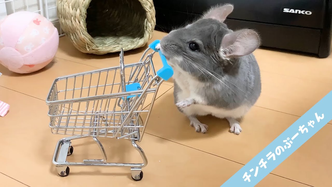 ちんちらバスケット ちい様