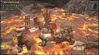 Black Desert 2026 06 12 | Succ zerk after last buff | Zephyros 1 Hour Grind | Only Ls2  20350 TL