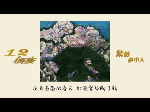 【Official Audio Lyrics Video】紫薇《12個夢》〈夢中人〉官方動態歌詞版MV