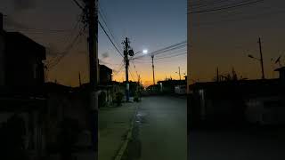 IMG 5308