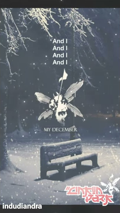 my December linkin park stroy wa