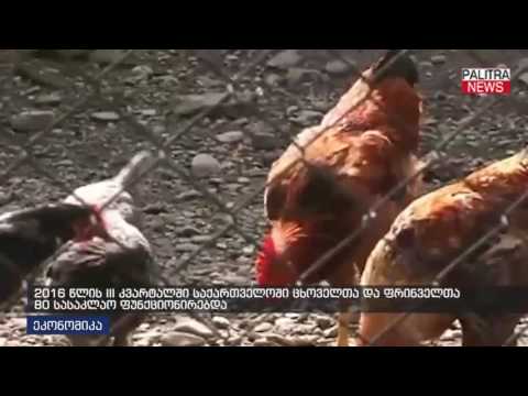 2016 წლის III კვარტალში საქართველოში ცხოველთა და ფრინველთა 80 სასაკლაო ფუნქციონირებდა