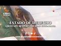 Despertar de Conciencias - Isabel González | Estado de Derecho, libertad y responsabilidad ciudadana