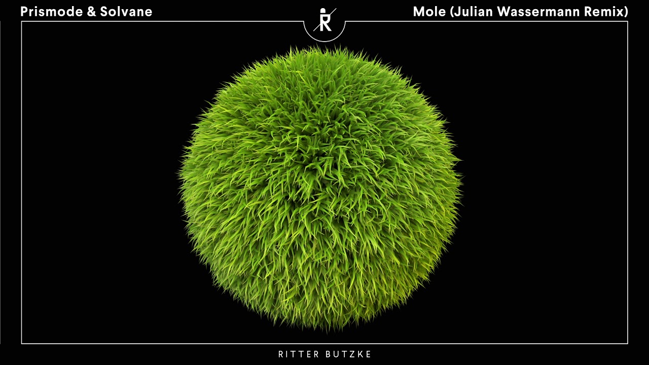 Prismode & Solvane – Mole (Julian Wassermann Remix) [Ritter Butzke Records]
