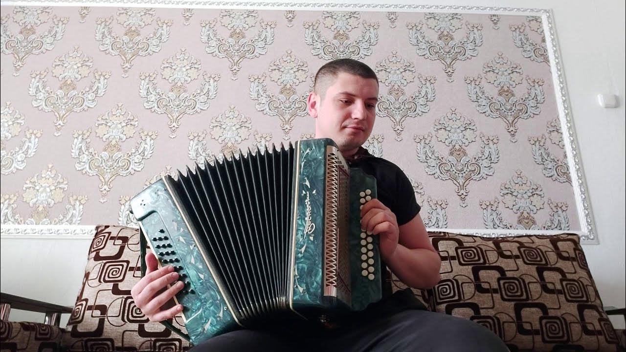 Бумер на гармошке. Бумер на гармони. черный бумер на гармони. бумер на гармони в цифрах. бумер на гармони по цифрам.