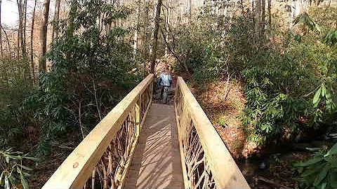 Yellow Creek Falls and Joyce Kilmer Memorial Forest