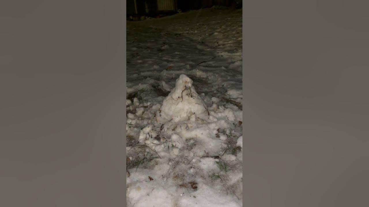 Snow in Florida 2025 YouTube