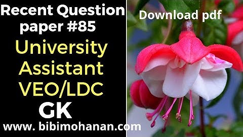 Solved Previous Questions for University Assistant VEO LDC |Recent Question Paper 85