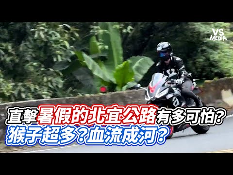直擊暑假的北宜公路有多可怕？猴子超多？血流成河？｜VS MEDIAｘ@MrBacon-xu6dc