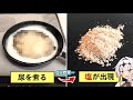 おし〇こから採れた塩がまさかの美味すぎる thumbnail