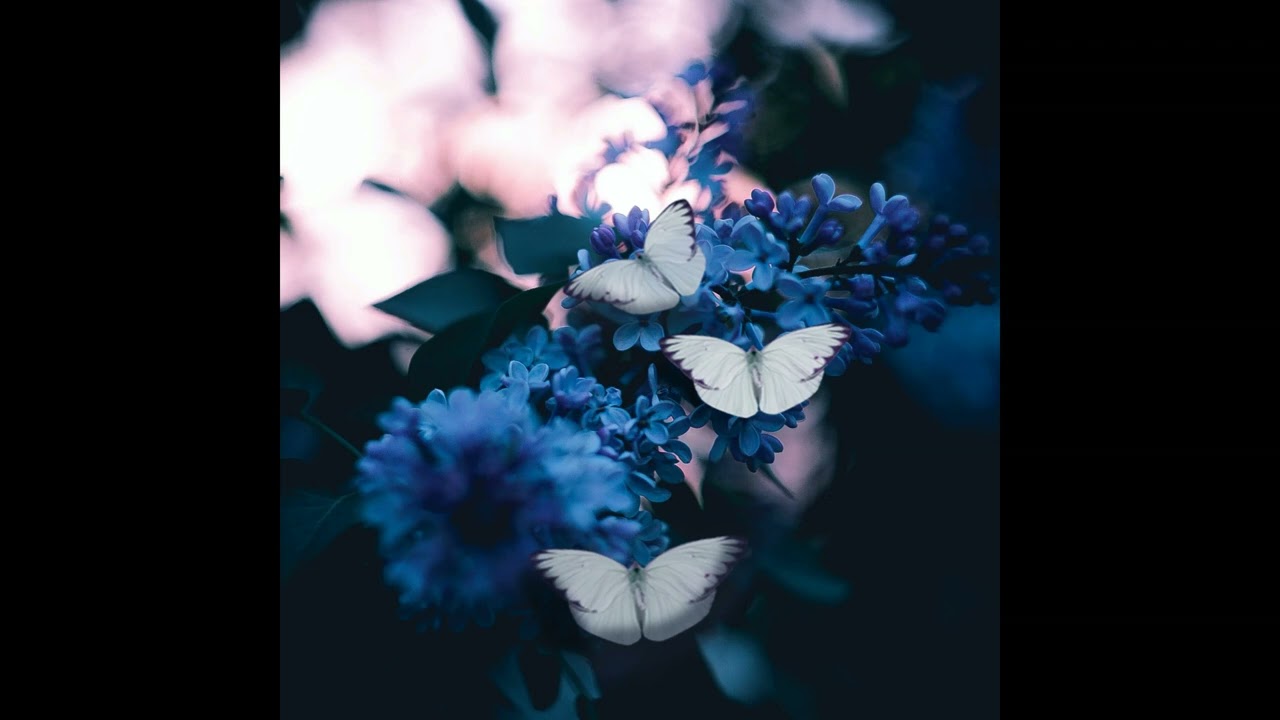 [Free] Lil Uzi Vert x Juice WRLD Type Beat - Butterfly