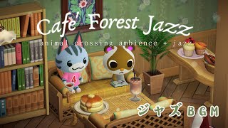 どうぶつの森 BGMの配信のサムネイル画像