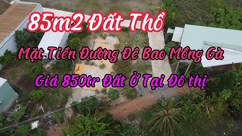 Bán 85m2 Đất Thổ Sổ Hồng Riêng Giá 850tr Mặt Tiền Đường Đê Bao Sông Mồng Gà Thị Trấn Cần Giuộc