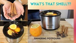 Potpourri, How To Make a Simmer Pot, Orange Spice Simmer Pot, Crockpot  Potpourri