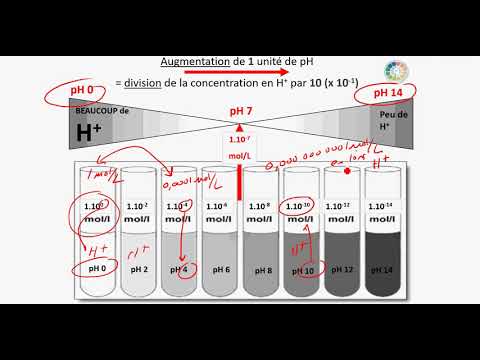 Vidéo: Comment le pH est-il lié à la concentration en H+ ?