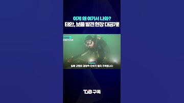 이게 왜 여기서 나와? 태안, 보물발견 현장 대공개!｜ TJB 대전·세종·충남뉴스