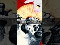 ◢ NEW DIGITAL EP TRAILER ◣ 03 &ldquo;ぬらり&rdquo;