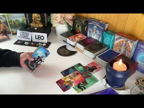 LEO! THEY FEEL TERRIBLE AND CAN'T STOP WORRYING! ENDLESS NIGHTS OF TEARS AND PAIN!