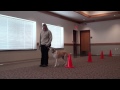 Lexi - Boot Camp Dog Training (Minnesota) Lexi - Boot Camp Dog Training (Minnesota)