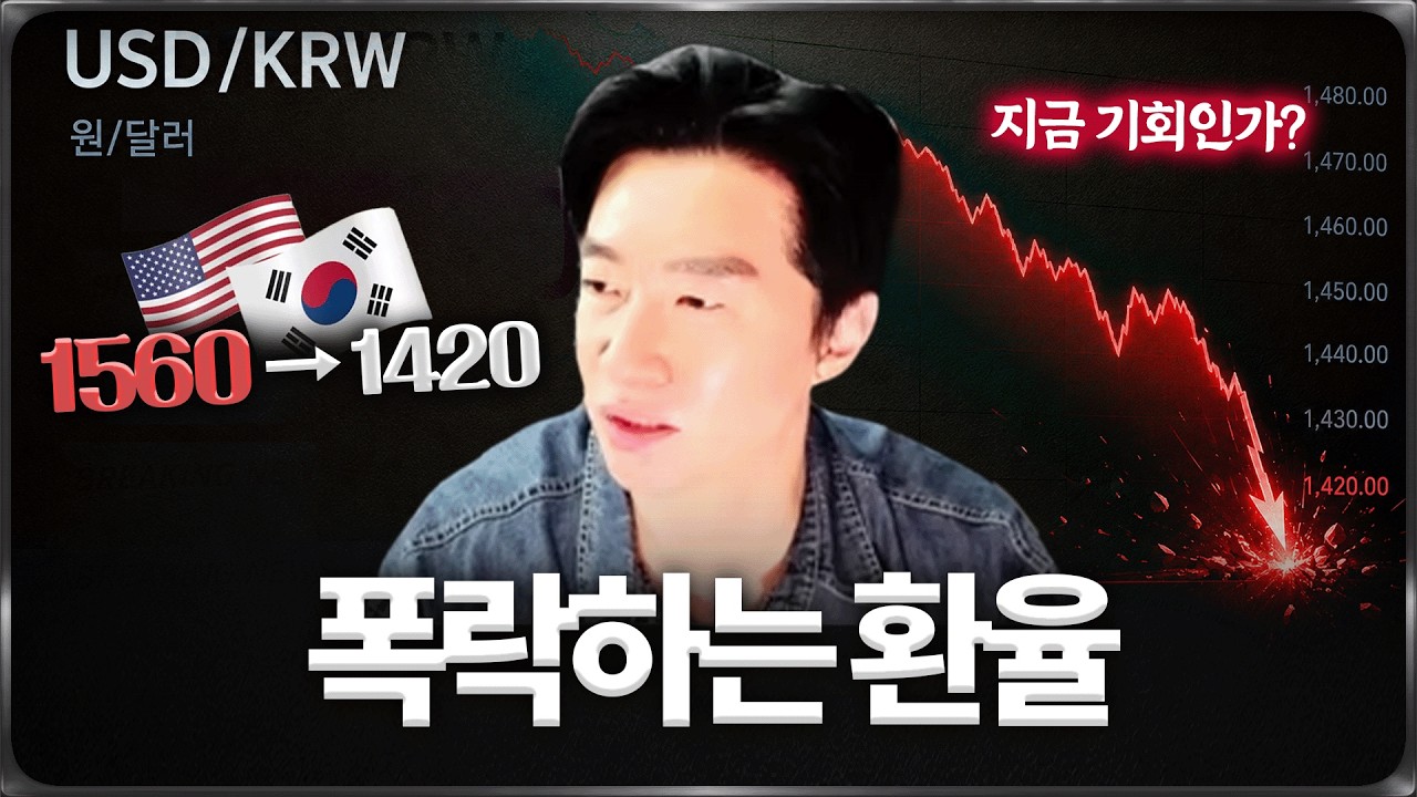 환율 대폭락 .. 지금 기회인가?