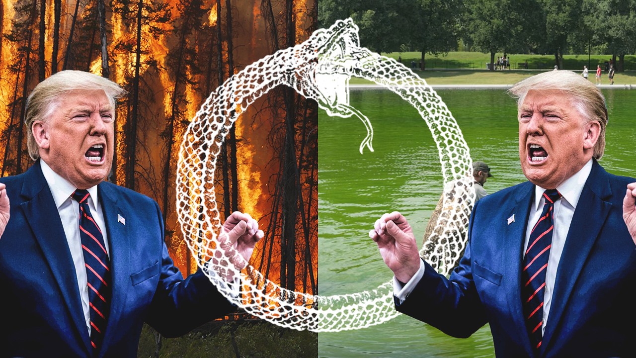 The End of Metaphysics and the Linguistic Turn in Philosophy
