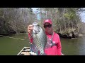 ABSOLUTELY LOAD The Boat With THESE KEY Crappie Fishing Tips!!!