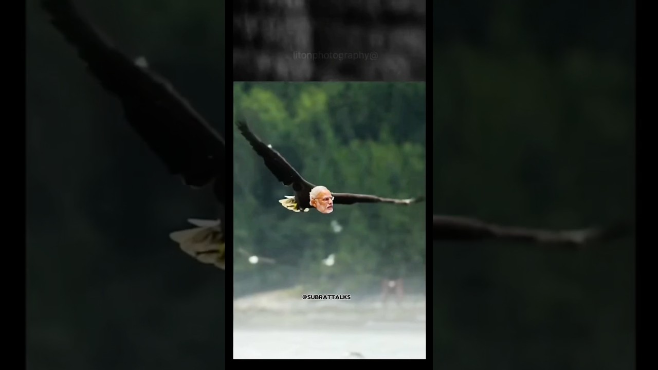 New National Bird in INDIA 🇮🇳 Narendra Modi |