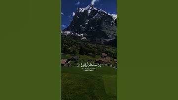 القارئ ياسر الدوسري 🤍 #القران_الكريم #quran #ياسر_الدوسري #القارئ_ياسر_الدوسري #fypシ #fyp #سورة