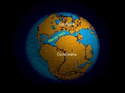 Video: ¿Qué es la separación geográfica?