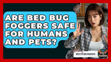 Are Bed Bug Foggers Safe For Humans And Pets? - Insects and Invaders