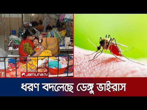 মৌসুমের আগেই ডেঙ্গুর তীব্র ছোবল; সবচেয়ে বেশি ভুগছে শিশুরা | Dengue Update | Jamuna TV