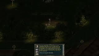 Divine Divinity Npc glitch