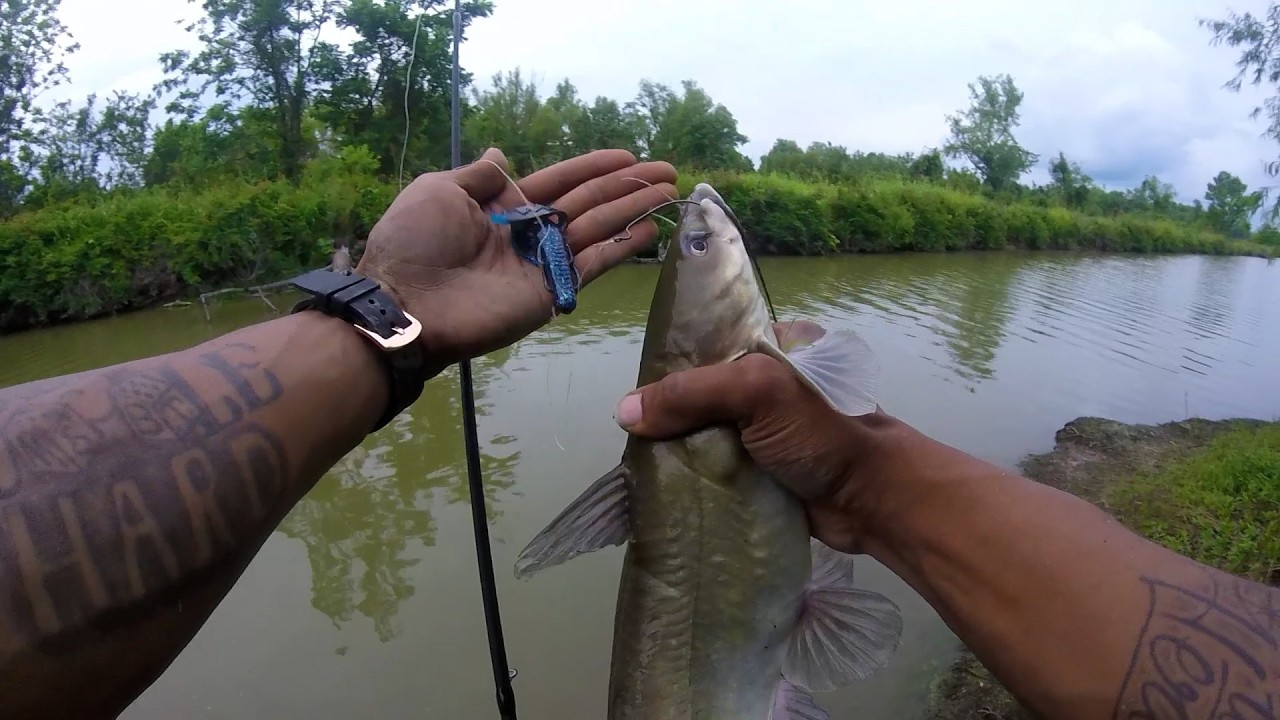 Catching BIG FISH in Honey Hole ! Bass and Catfish Catchin