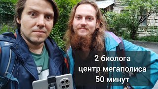 ЖИЗНЬ в центре мегаполиса🌲 Испытатели Природы