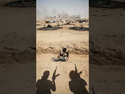 إبادة الفاشر