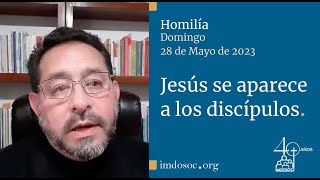 Homilía Domingo 28 de mayo de 2023