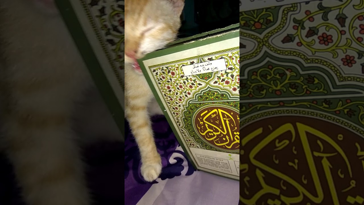 Belajar Mengaji 1 Youtube Belajar Mengaji 1 Youtube
