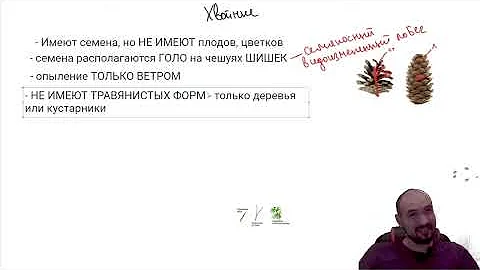 Голосеменные + СЕМЕЙСТВА цветковых  для ЕГЭ 2023 |ЕГЭ БИОЛОГИЯ|Freedom|