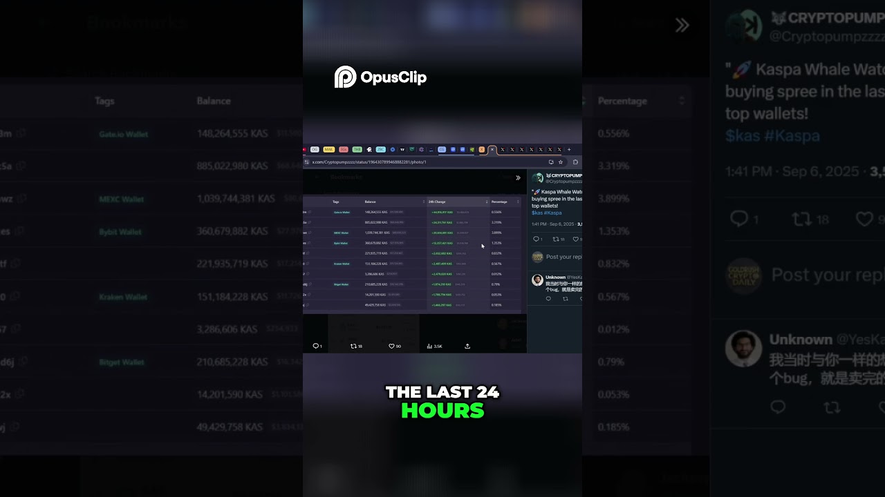 Whale Alert! | Kaspa Crypto's Massive Buying Spree!