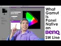 Find out what color gamut Panel Native on BenQ SW & Palette Master Element Corresponds to!