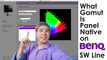 Find out what color gamut Panel Native on BenQ SW & Palette Master Element Corresponds to!