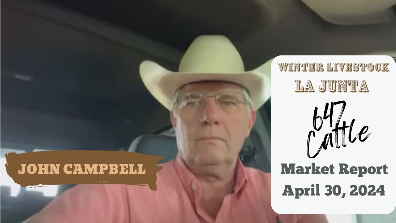 John Campbell La Junta CO Market Report April 30, 2024 YouTube