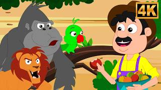 old macdonald had zoo fun animal song kids nursery rhymes