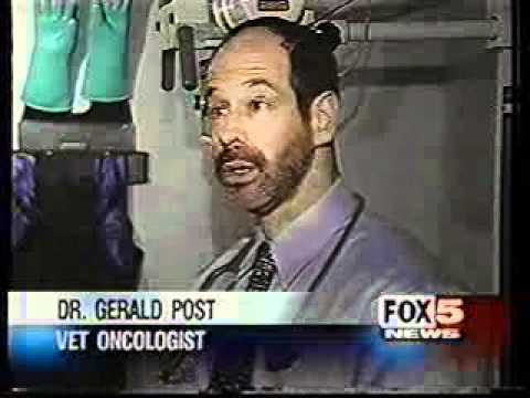 Dr. Gerald Post on Fox News - Pets With Cancer